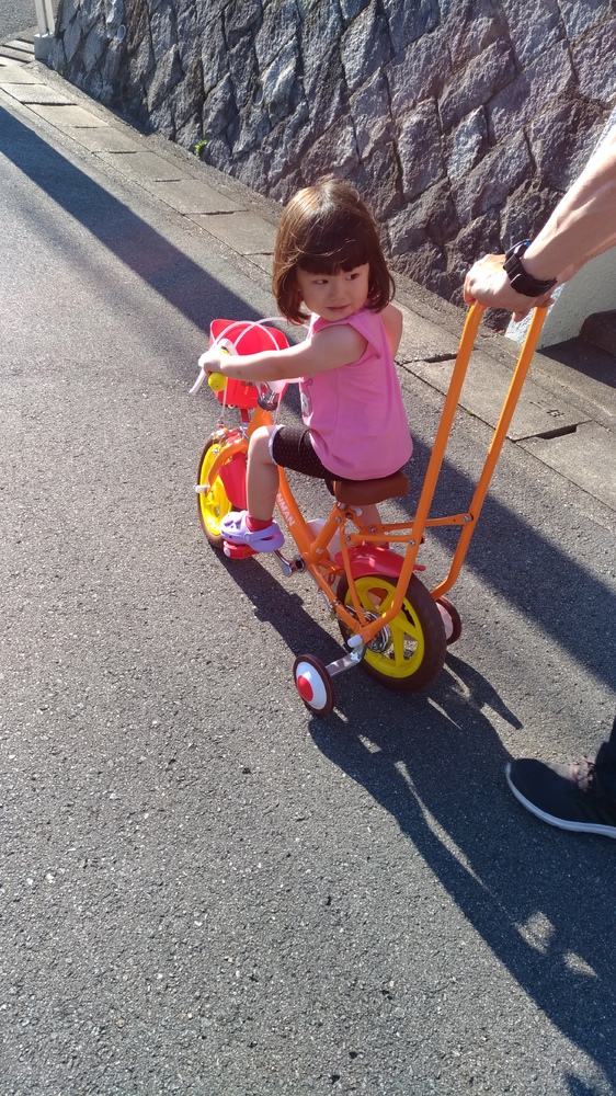 ヨドバシ 幼児用自転車 手押し棒